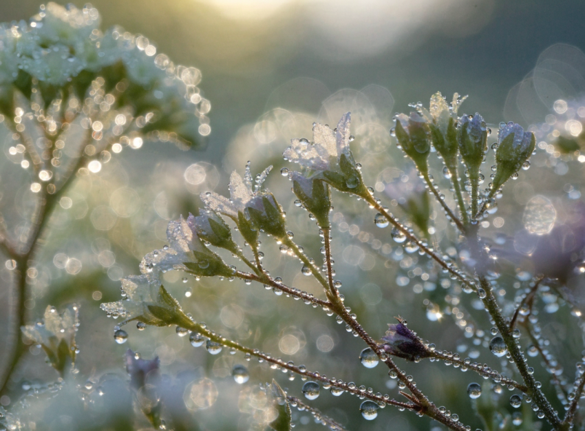 Natur & Stille