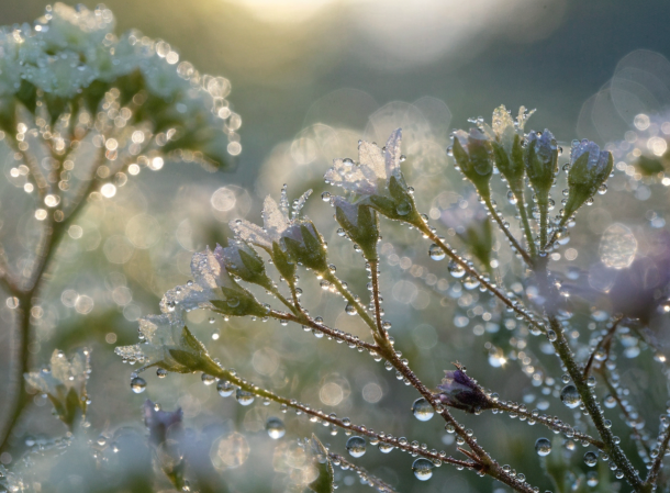 Natur & Stille